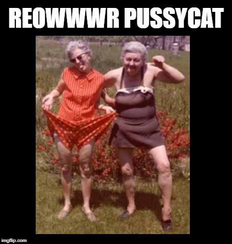 REOWWWR PUSSYCAT | made w/ Imgflip meme maker
