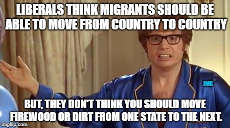Really?? | LIBERALS THINK MIGRANTS SHOULD BE ABLE TO MOVE FROM COUNTRY TO COUNTRY; JMR; BUT, THEY DON'T THINK YOU SHOULD MOVE FIREWOOD OR DIRT FROM ONE STATE TO THE NEXT. | image tagged in austin powers honestly,liberals,liberal logic,illegal immigration,firewood | made w/ Imgflip meme maker