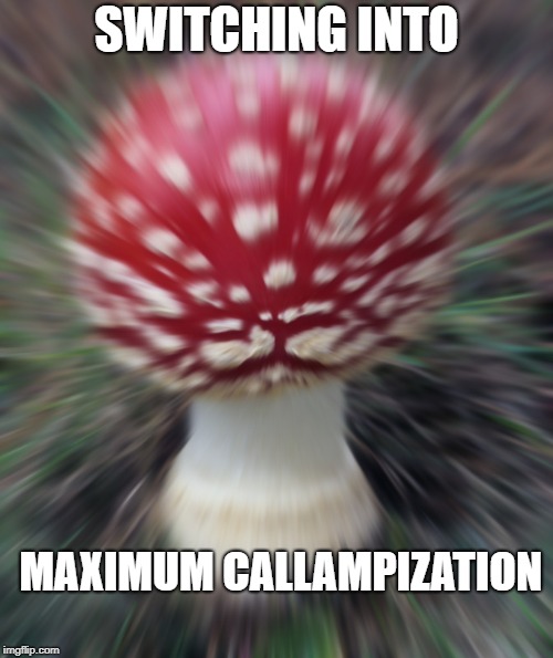 SWITCHING INTO; MAXIMUM CALLAMPIZATION | made w/ Imgflip meme maker