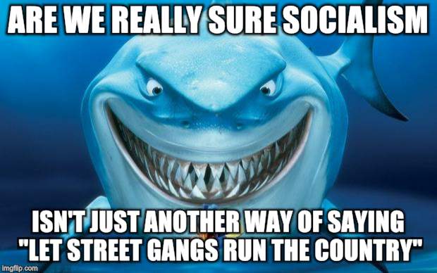 Hungry shark nemoÂ´s |  ARE WE REALLY SURE SOCIALISM; ISN'T JUST ANOTHER WAY OF SAYING "LET STREET GANGS RUN THE COUNTRY" | image tagged in hungry shark nemos | made w/ Imgflip meme maker