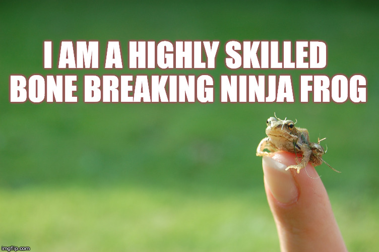 I AM A HIGHLY SKILLED BONE BREAKING NINJA FROG | made w/ Imgflip meme maker