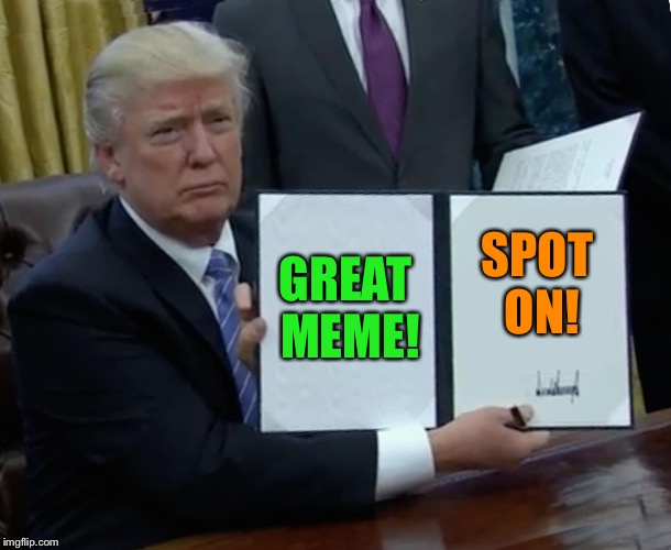 Trump Bill Signing Meme | GREAT MEME! SPOT ON! | image tagged in memes,trump bill signing | made w/ Imgflip meme maker