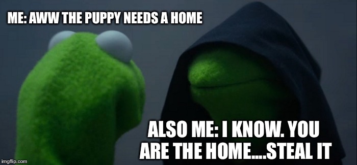 Evil Kermit Meme | ME: AWW THE PUPPY NEEDS A HOME; ALSO ME: I KNOW. YOU ARE THE HOME....STEAL IT | image tagged in memes,evil kermit | made w/ Imgflip meme maker