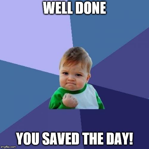 Success Kid | WELL DONE; YOU SAVED THE DAY! | image tagged in memes,success kid | made w/ Imgflip meme maker