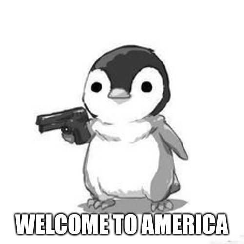 Penguin Holding Gun | WELCOME TO AMERICA | image tagged in penguin holding gun | made w/ Imgflip meme maker