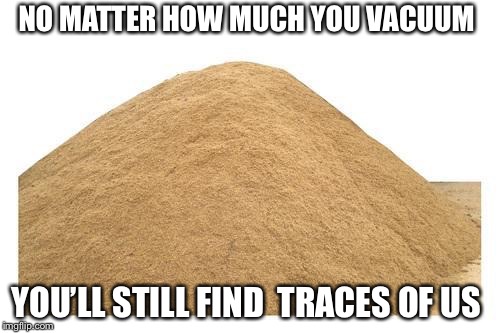 Sand avenger | NO MATTER HOW MUCH YOU VACUUM; YOU’LL STILL FIND  TRACES OF US | image tagged in sand avenger | made w/ Imgflip meme maker
