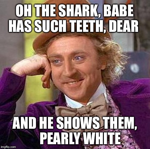 Creepy Condescending Wonka Meme | OH THE SHARK, BABE AND HE SHOWS THEM,    PEARLY WHITE HAS SUCH TEETH, DEAR | image tagged in memes,creepy condescending wonka | made w/ Imgflip meme maker