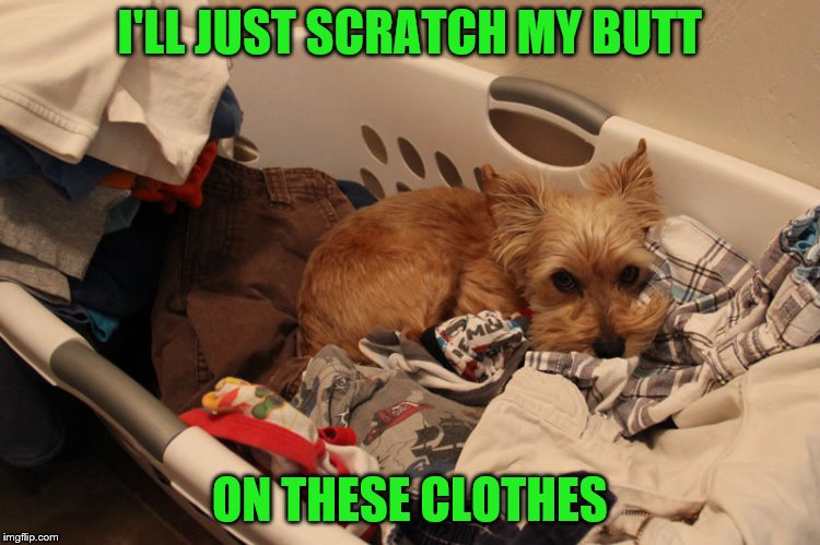 I'LL JUST SCRATCH MY BUTT ON THESE CLOTHES | made w/ Imgflip meme maker