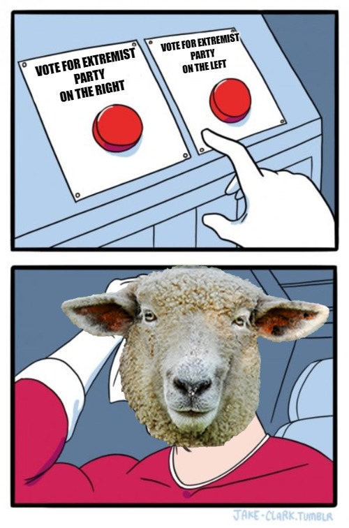 Two Buttons Meme | VOTE FOR EXTREMIST PARTY ON THE RIGHT VOTE FOR EXTREMIST PARTY ON THE LEFT | image tagged in memes,two buttons | made w/ Imgflip meme maker