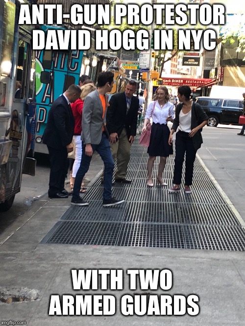 Liberals are the biggest hypocrites  | ANTI-GUN PROTESTOR DAVID HOGG IN NYC; WITH TWO ARMED GUARDS | image tagged in stupid liberals,gun control,maga | made w/ Imgflip meme maker