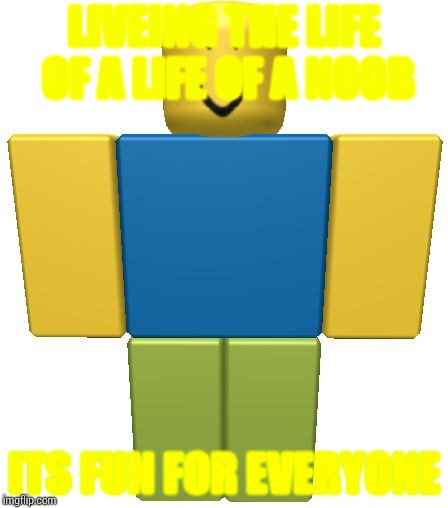 ROBLOX Noob | LIVEING THE LIFE OF A LIFE OF A NOOB; ITS FUN FOR EVERYONE | image tagged in roblox noob | made w/ Imgflip meme maker