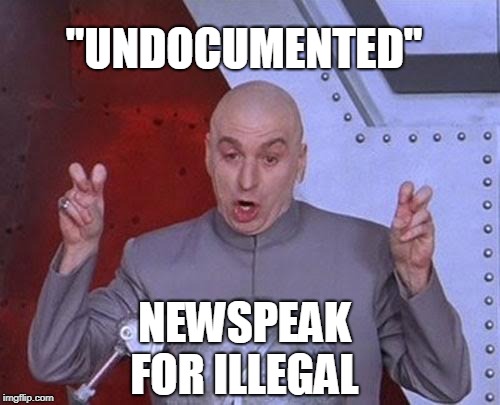 Dr Evil Laser Meme | "UNDOCUMENTED" NEWSPEAK FOR ILLEGAL | image tagged in memes,dr evil laser | made w/ Imgflip meme maker