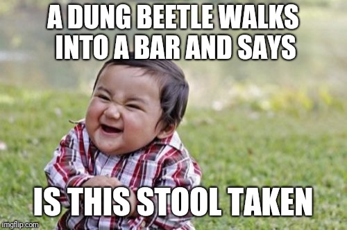 Evil Toddler Meme | A DUNG BEETLE WALKS INTO A BAR AND SAYS; IS THIS STOOL TAKEN | image tagged in memes,evil toddler | made w/ Imgflip meme maker