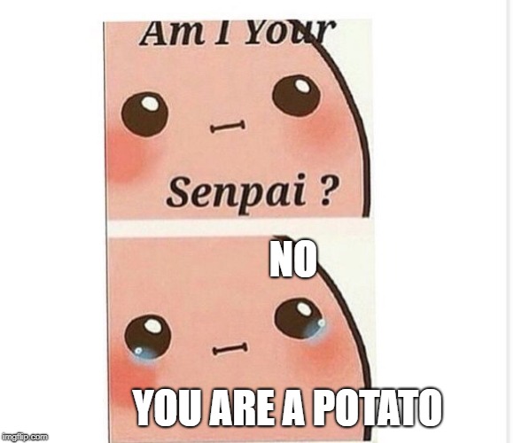 Derpy potato | NO; YOU ARE A POTATO | image tagged in derpy potato,potato,derpy | made w/ Imgflip meme maker
