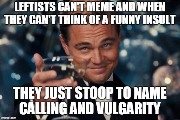 Leonardo Dicaprio Cheers Meme | LEFTISTS CAN'T MEME AND WHEN THEY CAN'T THINK OF A FUNNY INSULT THEY JUST STOOP TO NAME CALLING AND VULGARITY | image tagged in memes,leonardo dicaprio cheers | made w/ Imgflip meme maker