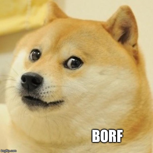 Doge | BORF | image tagged in memes,doge | made w/ Imgflip meme maker
