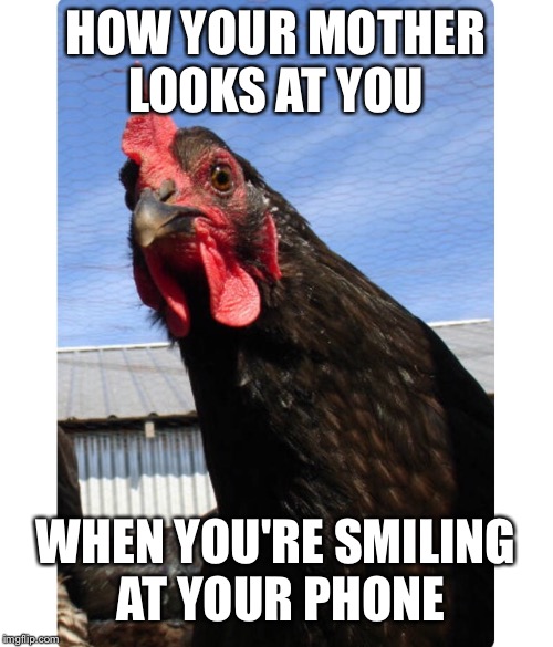 Suspicious Chicken | HOW YOUR MOTHER LOOKS AT YOU; WHEN YOU'RE SMILING AT YOUR PHONE | image tagged in chicken,relatable | made w/ Imgflip meme maker