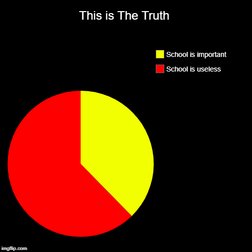 This is The Truth: About School. | This is The Truth | School is useless, School is important | image tagged in funny,pie charts,memes,school,important,useless | made w/ Imgflip chart maker