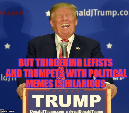 BUT TRIGGERING LEFISTS AND TRUMPETS WITH POLITICAL MEMES IS HILARIOUS | made w/ Imgflip meme maker