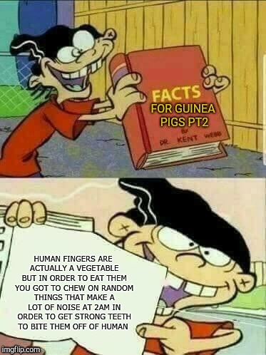Double d facts book  | FOR GUINEA PIGS PT2; HUMAN FINGERS ARE ACTUALLY A VEGETABLE BUT IN ORDER TO EAT THEM YOU GOT TO CHEW ON RANDOM THINGS THAT MAKE A LOT OF NOISE AT 2AM IN ORDER TO GET STRONG TEETH TO BITE THEM OFF OF HUMAN | image tagged in double d facts book | made w/ Imgflip meme maker