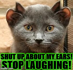 SHUT UP ABOUT MY EARS! STOP LAUGHING! | image tagged in shut up | made w/ Imgflip meme maker