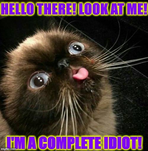 HELLO THERE! LOOK AT ME! I'M A COMPLETE IDIOT! | image tagged in idiot | made w/ Imgflip meme maker