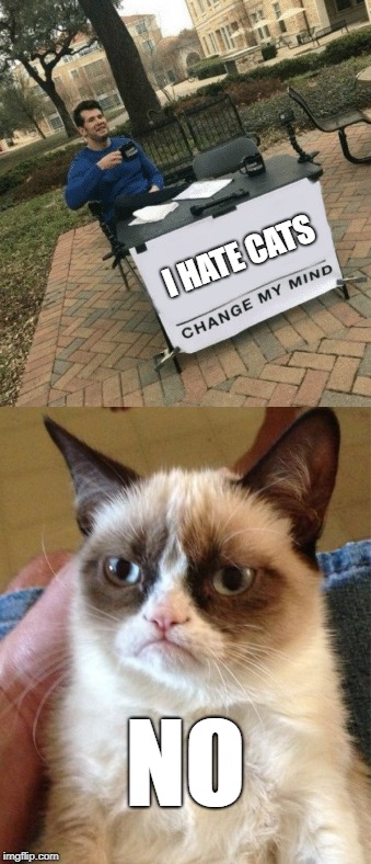 Mission Impossible | I HATE CATS; NO | image tagged in grumpy cat,change my mind | made w/ Imgflip meme maker