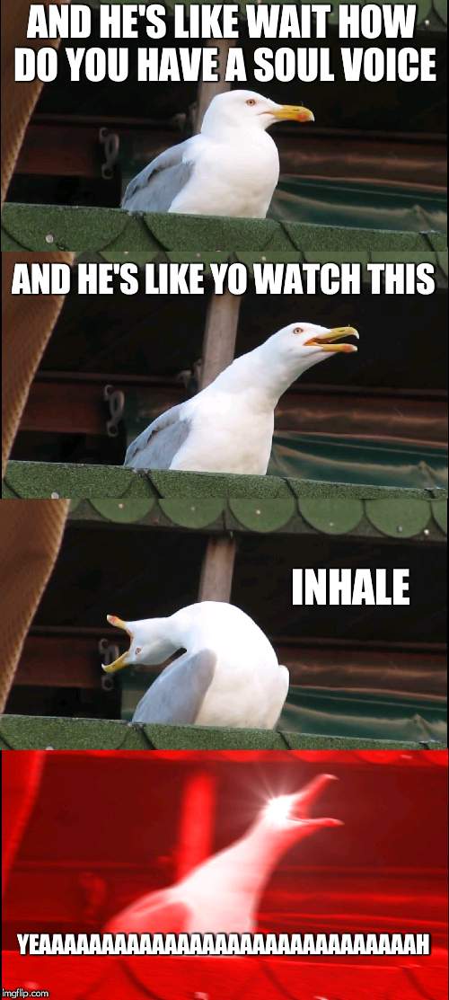 Inhaling Seagull | AND HE'S LIKE WAIT HOW DO YOU HAVE A SOUL VOICE; AND HE'S LIKE YO WATCH THIS; INHALE; YEAAAAAAAAAAAAAAAAAAAAAAAAAAAAAAH | image tagged in memes,inhaling seagull | made w/ Imgflip meme maker