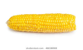 Corn on the cob  Blank Meme Template