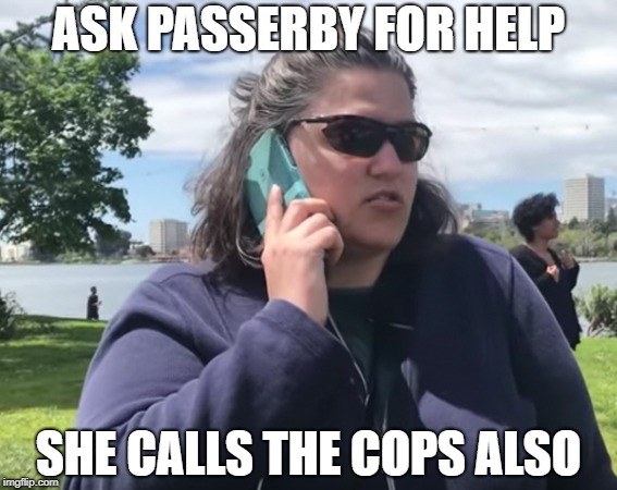 ASK PASSERBY FOR HELP SHE CALLS THE COPS ALSO | made w/ Imgflip meme maker