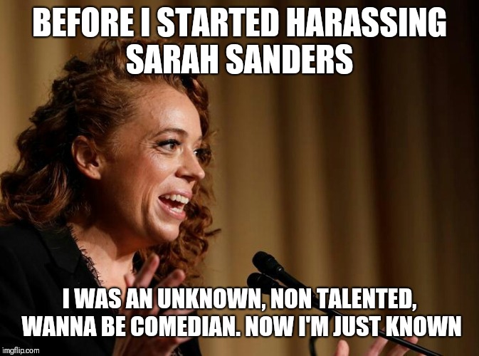Michelle Wolf | BEFORE I STARTED HARASSING SARAH SANDERS; I WAS AN UNKNOWN, NON TALENTED, WANNA BE COMEDIAN. NOW I'M JUST KNOWN | image tagged in michelle wolf | made w/ Imgflip meme maker