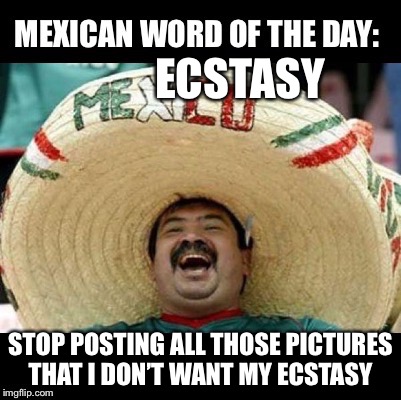 Mexican Word of the Day (LARGE) | ECSTASY; STOP POSTING ALL THOSE PICTURES THAT I DON’T WANT MY ECSTASY | image tagged in mexican word of the day large | made w/ Imgflip meme maker