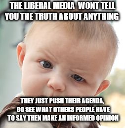 Skeptical Baby Meme | THE LIBERAL MEDIA  WONT TELL YOU THE TRUTH ABOUT ANYTHING; THEY JUST PUSH THEIR AGENDA, GO SEE WHAT OTHERS PEOPLE HAVE TO SAY THEN MAKE AN INFORMED OPINION | image tagged in memes,skeptical baby | made w/ Imgflip meme maker