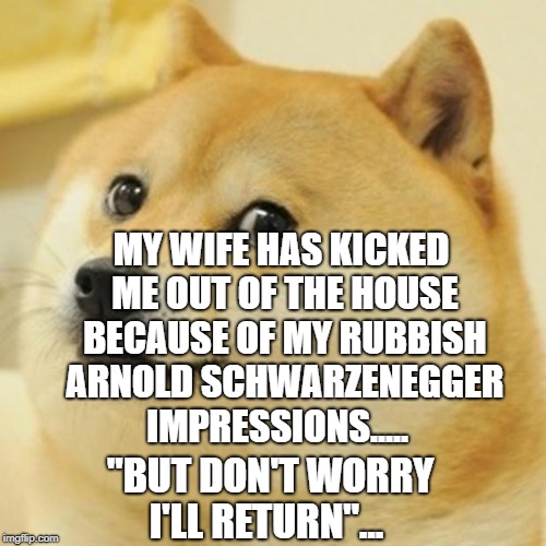 Doge Meme | MY WIFE HAS KICKED ME OUT OF THE HOUSE BECAUSE OF MY RUBBISH ARNOLD SCHWARZENEGGER IMPRESSIONS..... "BUT DON'T WORRY I'LL RETURN"... | image tagged in memes,doge | made w/ Imgflip meme maker