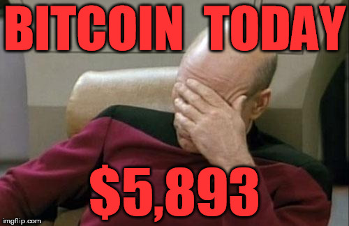 Captain Picard Facepalm Meme | BITCOIN  TODAY; $5,893 | image tagged in memes,captain picard facepalm | made w/ Imgflip meme maker