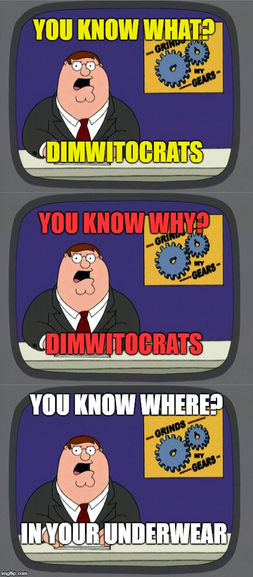 That's what I said | YOU KNOW WHAT? DIMWITOCRATS; DIMWITOCRATS; YOU KNOW WHY? YOU KNOW WHERE? IN YOUR UNDERWEAR | image tagged in how now brown cow,peter griffin news,channel for the memes to be memes | made w/ Imgflip meme maker