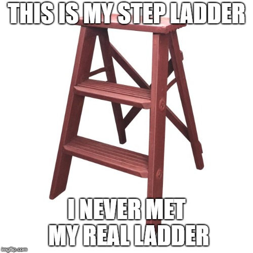 step |  THIS IS MY STEP LADDER; I NEVER MET MY REAL LADDER | image tagged in ladder | made w/ Imgflip meme maker