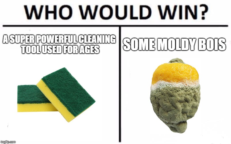 Who Would Win? Meme | A SUPER POWERFUL CLEANING TOOL USED FOR AGES; SOME MOLDY BOIS | image tagged in memes,who would win | made w/ Imgflip meme maker