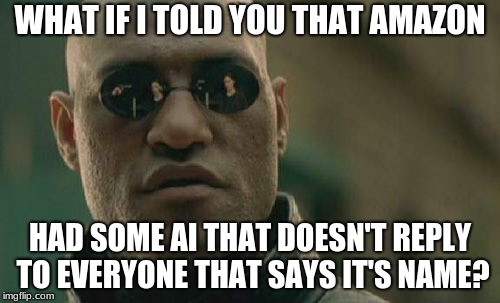 Matrix Morpheus Meme | WHAT IF I TOLD YOU THAT AMAZON; HAD SOME AI THAT DOESN'T REPLY TO EVERYONE THAT SAYS IT'S NAME? | image tagged in memes,matrix morpheus | made w/ Imgflip meme maker