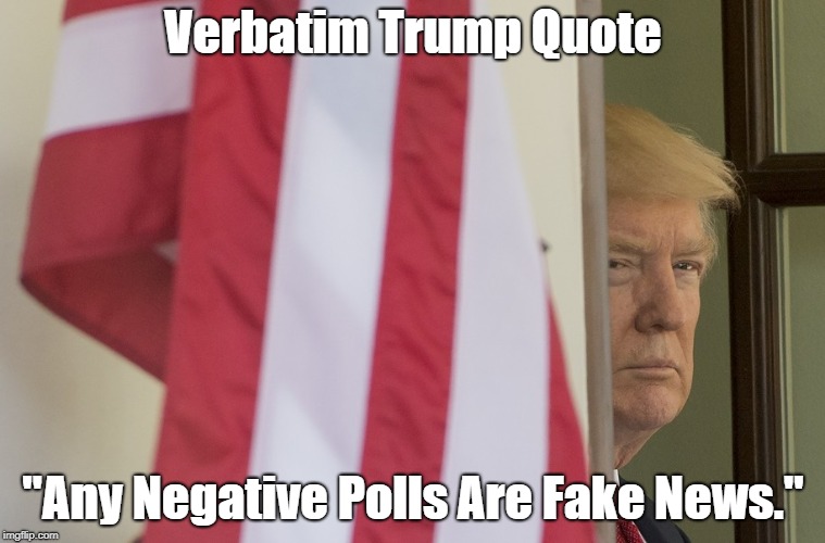 Verbatim Trump Quote "Any Negative Polls Are Fake News." | made w/ Imgflip meme maker