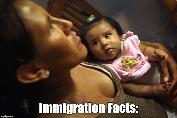 Immigration Facts: | made w/ Imgflip meme maker