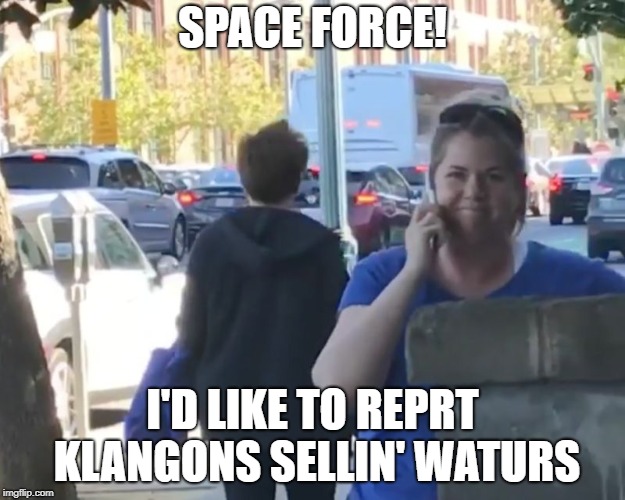 SPACE FORCE! I'D LIKE TO REPRT KLANGONS SELLIN' WATURS | image tagged in beckycalleragain | made w/ Imgflip meme maker