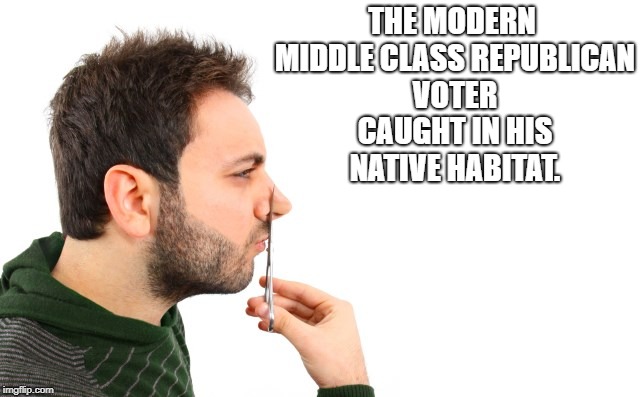 cut off your nose to spite your face | THE MODERN MIDDLE CLASS REPUBLICAN VOTER CAUGHT IN HIS NATIVE HABITAT. | image tagged in political meme | made w/ Imgflip meme maker