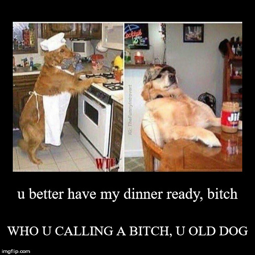 u better have my dinner ready, b**ch | WHO U CALLING A B**CH, U OLD DOG | image tagged in funny,demotivationals | made w/ Imgflip demotivational maker