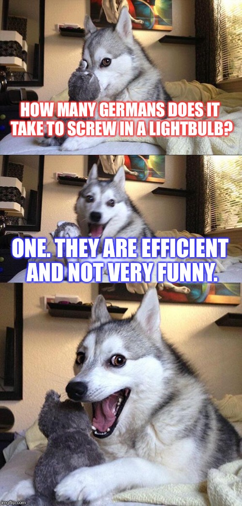 Classic lightbulb joke with a twist. | HOW MANY GERMANS DOES IT TAKE TO SCREW IN A LIGHTBULB? ONE. THEY ARE EFFICIENT AND NOT VERY FUNNY. | image tagged in memes,bad pun dog,comedy,animals,meme | made w/ Imgflip meme maker