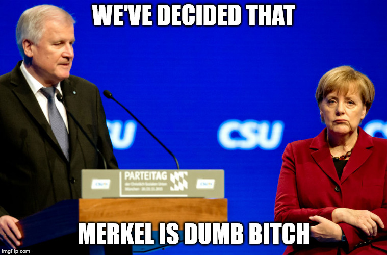 WE'VE DECIDED THAT; MERKEL IS DUMB BITCH | made w/ Imgflip meme maker