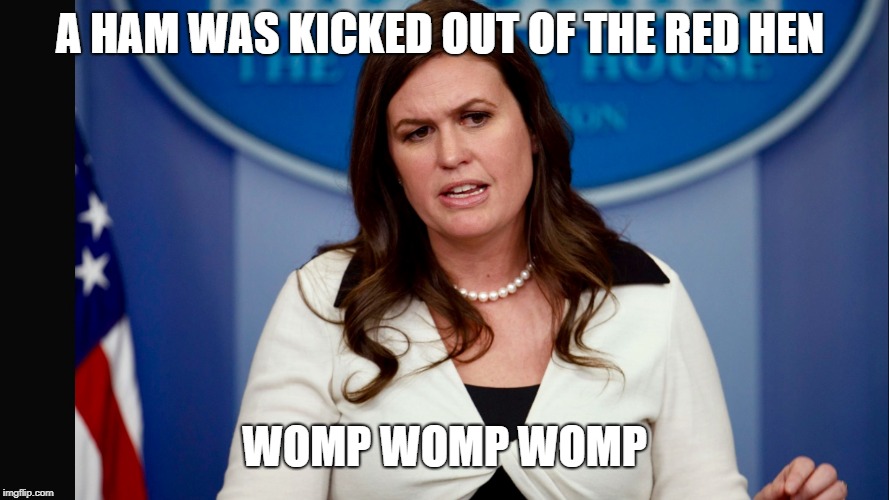 Sarah Sanders  | A HAM WAS KICKED OUT OF THE RED HEN; WOMP WOMP WOMP | image tagged in sarah sanders | made w/ Imgflip meme maker