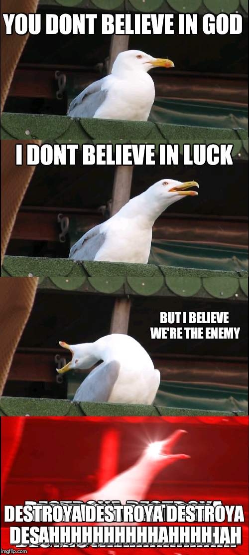 Inhaling Seagull Meme | YOU DONT BELIEVE IN GOD; I DONT BELIEVE IN LUCK; BUT I BELIEVE WE'RE THE ENEMY; DESTROYA DESTROYA DESTROYA AHHHHHHHHHHAHHHH | image tagged in memes,inhaling seagull | made w/ Imgflip meme maker