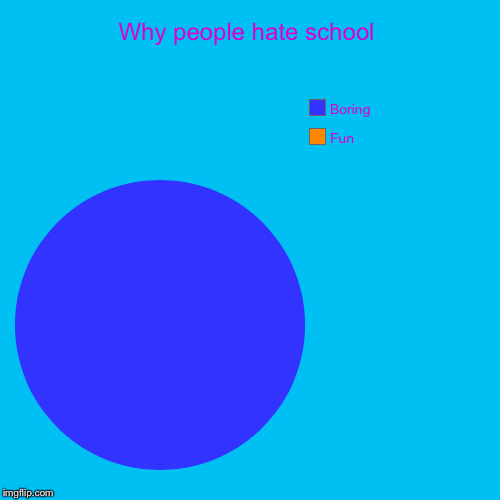 Why people hate school | Fun, Boring | image tagged in funny,pie charts | made w/ Imgflip chart maker