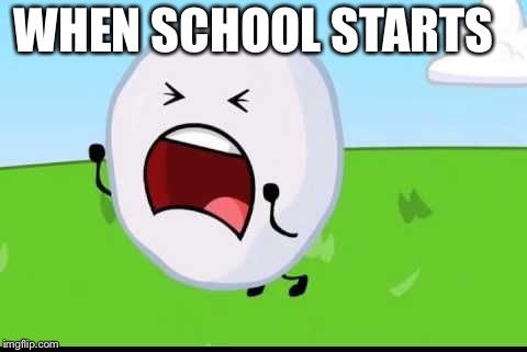 BFDI Snowball NOOOOO | WHEN SCHOOL STARTS | image tagged in bfdi snowball nooooo | made w/ Imgflip meme maker